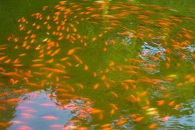 《刀剑乱舞无双》第二部队介绍演示：队长“歌仙兼定”