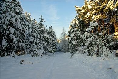 NS游戏《雪人兄弟 特别版》新预告 欧美版5月19日发售