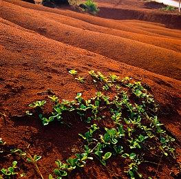 《跳跃音符》Steam页面商店 支持简体中文