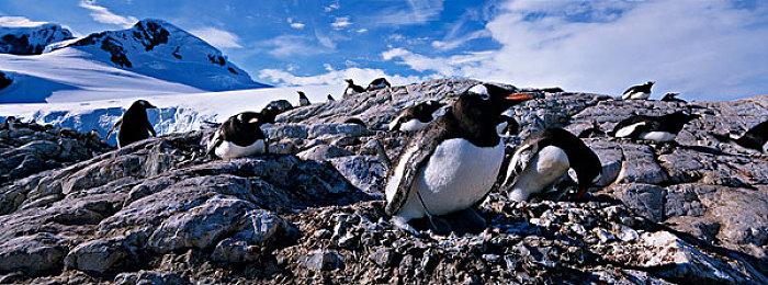 《怪物猎人：荒野》海量新细节 可随时切换第二把武器